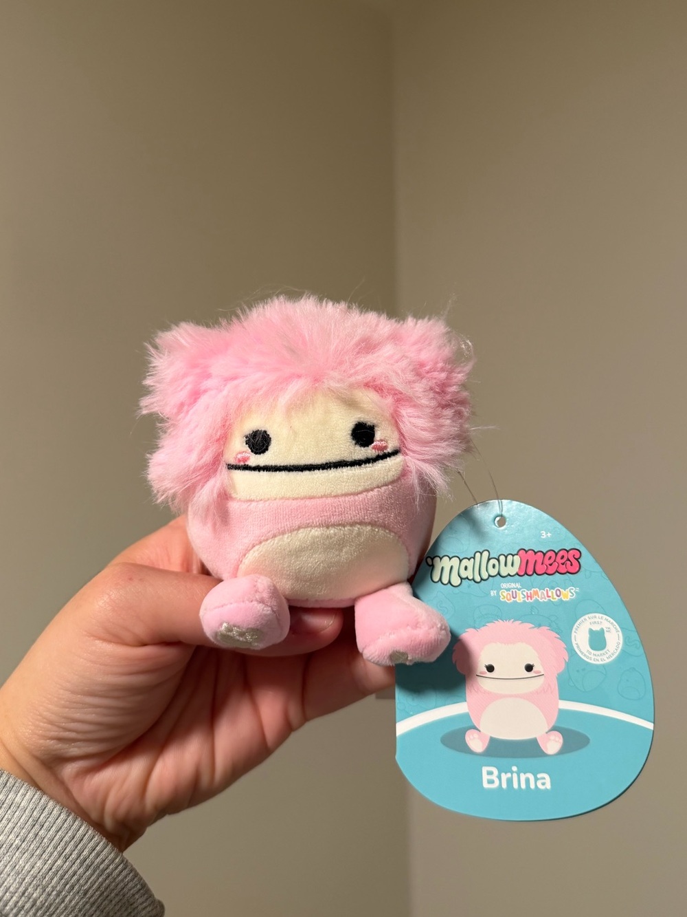 Squishmallows MallowMees (1 PC) - Brina